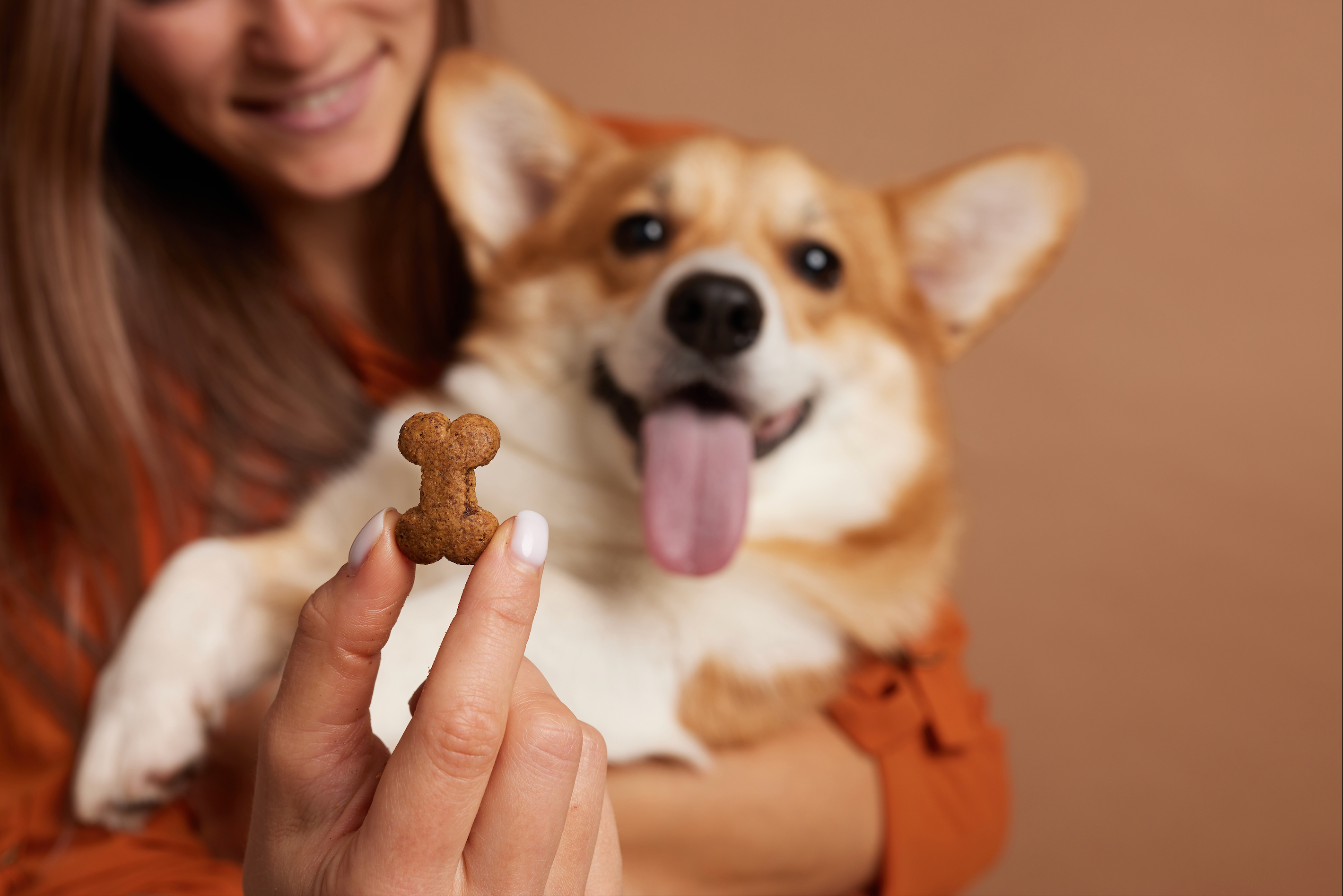 Les friandises naturelles "Pawfect"