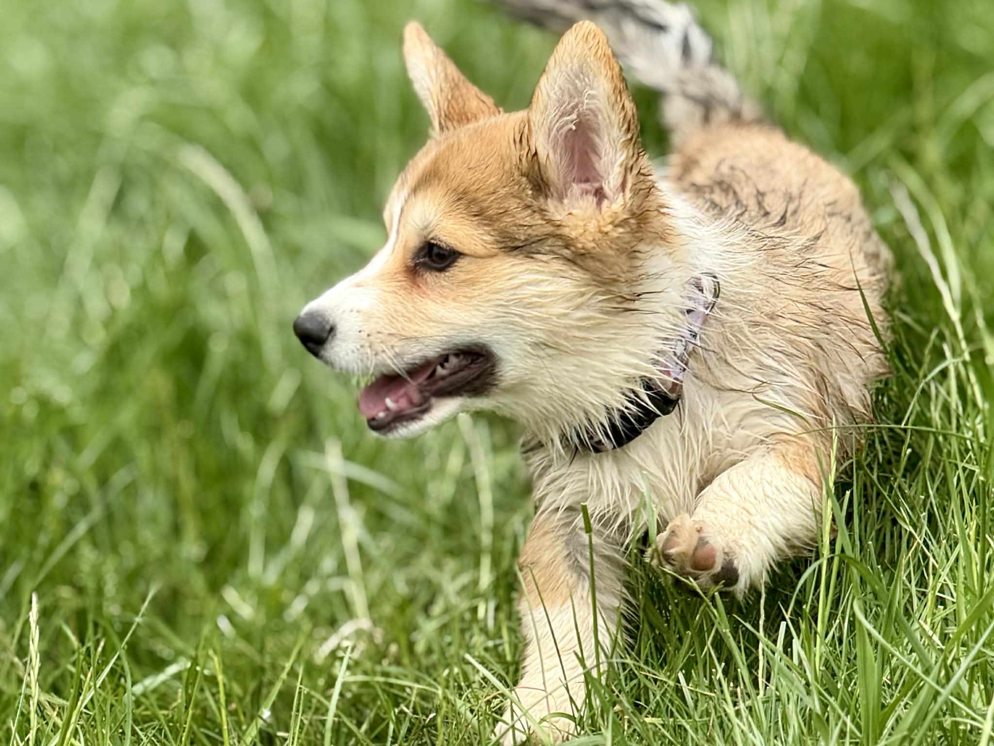 A propos de mon histoire...