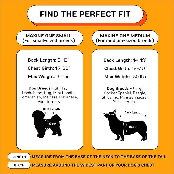 Sac à dos pour chien MAXINE ONE