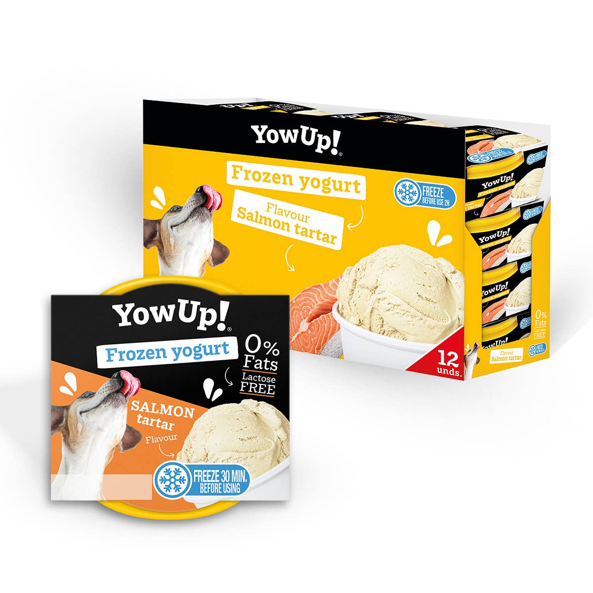 Toutous glaces « Yow Up »