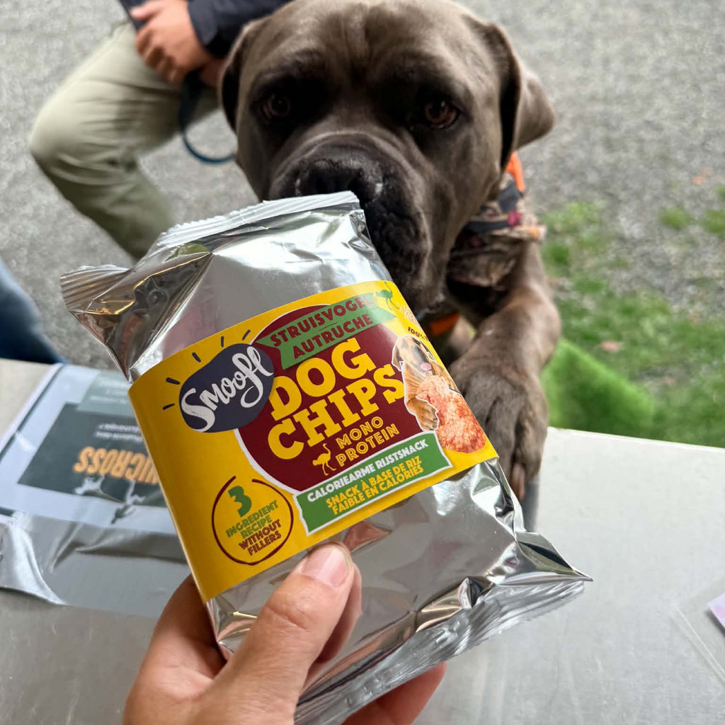 La Woof'Box Apéro d’Automne