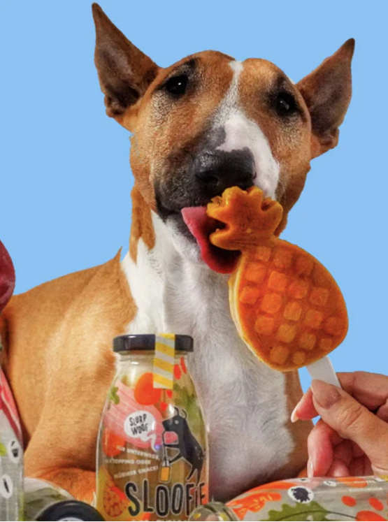 Sloofie -  Saveur Tropicale