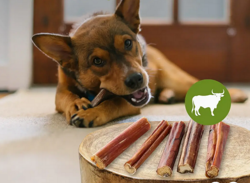 Ziemer de bœuf premium, mâchouille sans os (100g)