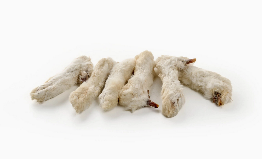 Pattes de lapin avec poils - divers grammages