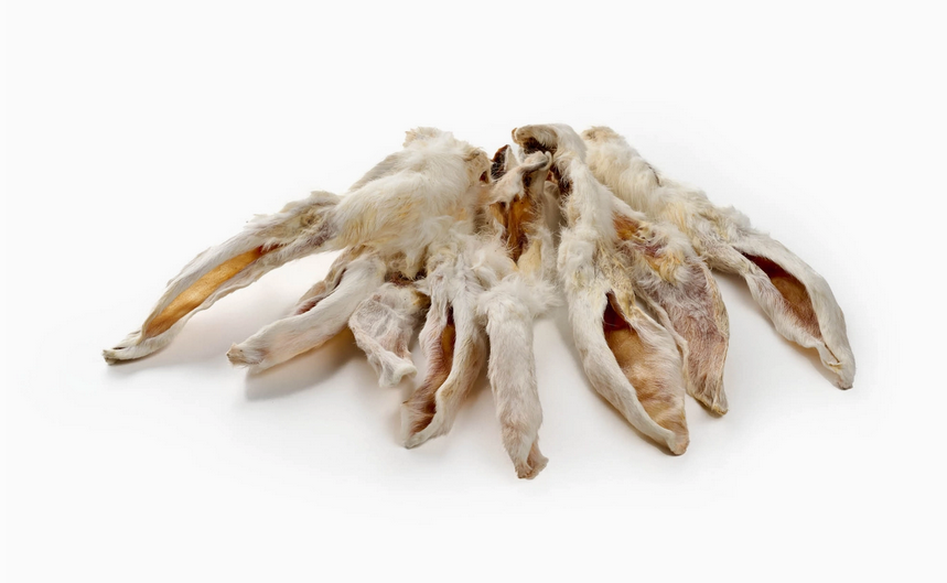 Oreilles de lapin avec poils - 200g