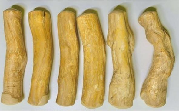 Bâton à Mâcher en Bois de Caféier – 100% Naturel