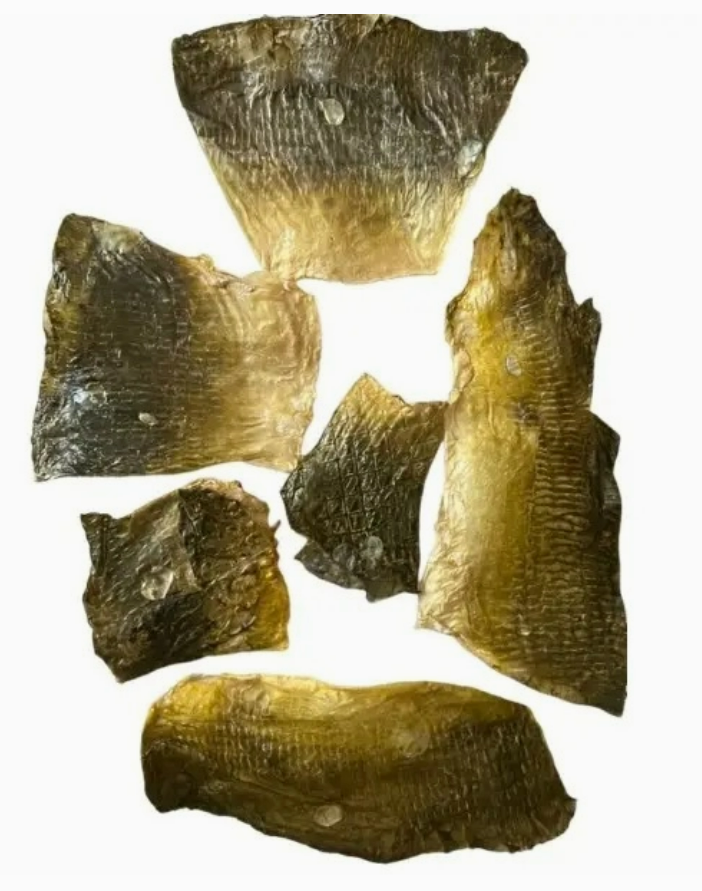 Peau de Carpe Séchée de la Dombes