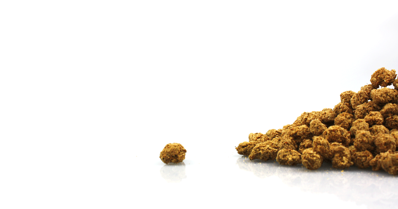 Friandises d'entraînement: Bœuf & Colostrum