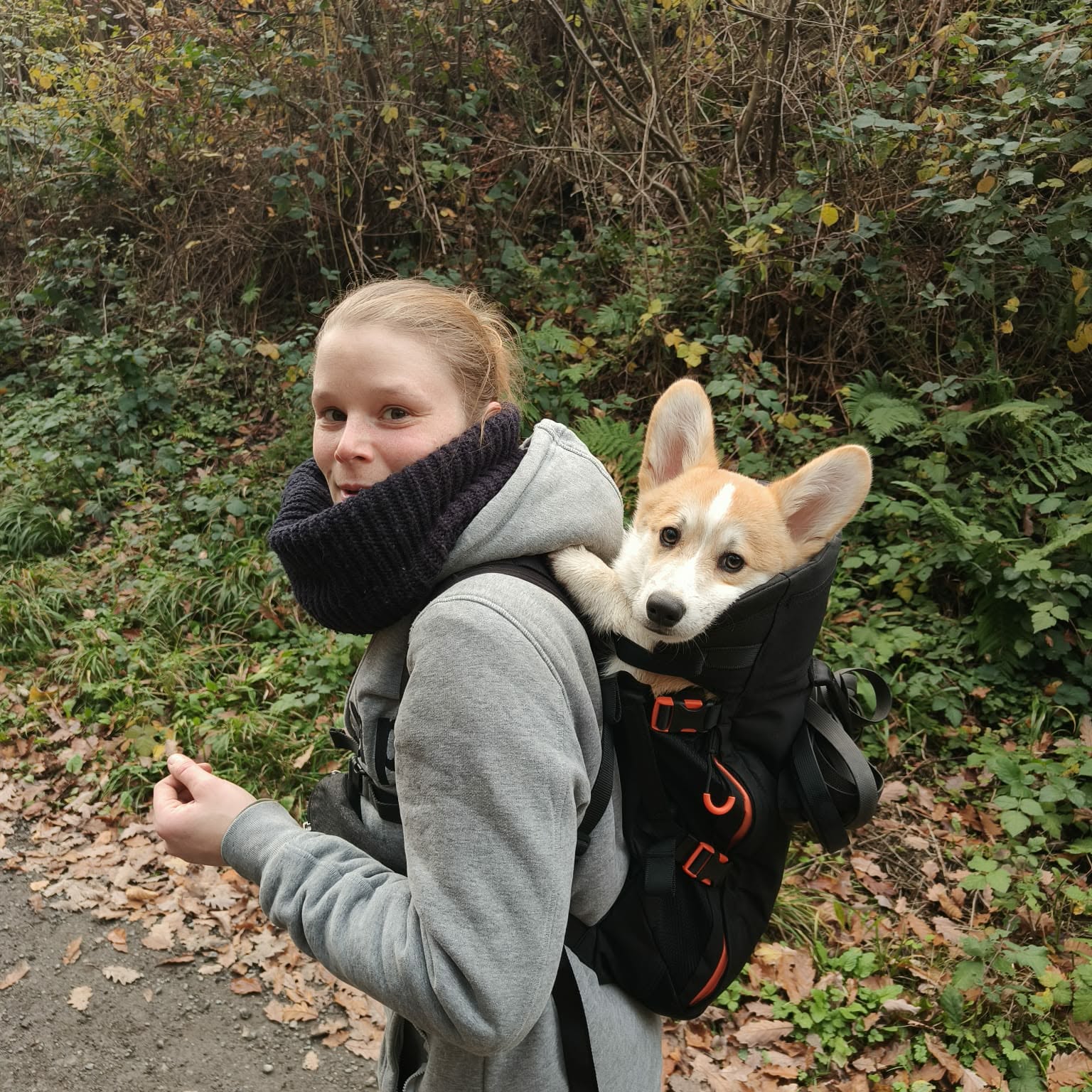 Sac à dos pour chien MAXINE ONE