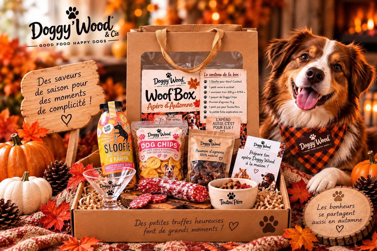 La Woof'Box Apéro d’Automne