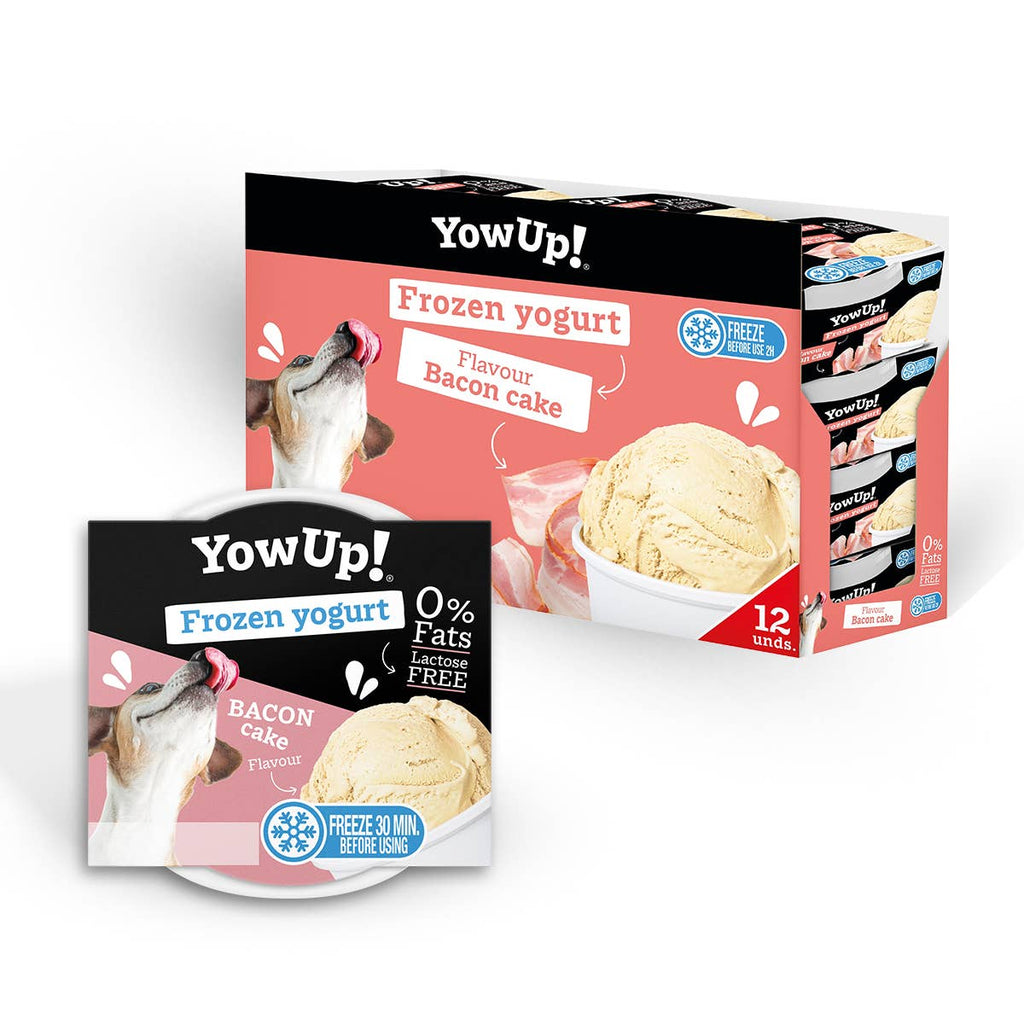 Toutous glaces « Yow Up »
