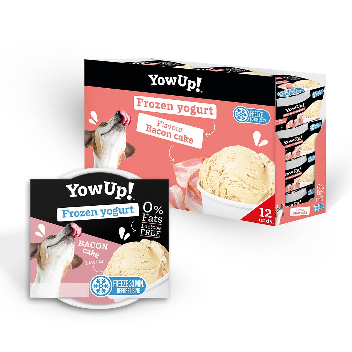 Toutous glaces « Yow Up »