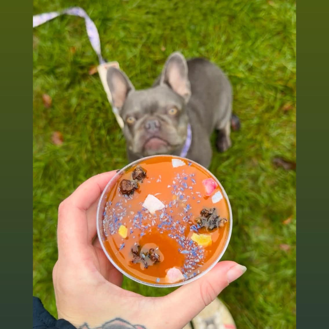 La Woof'Box Apéro d’Automne