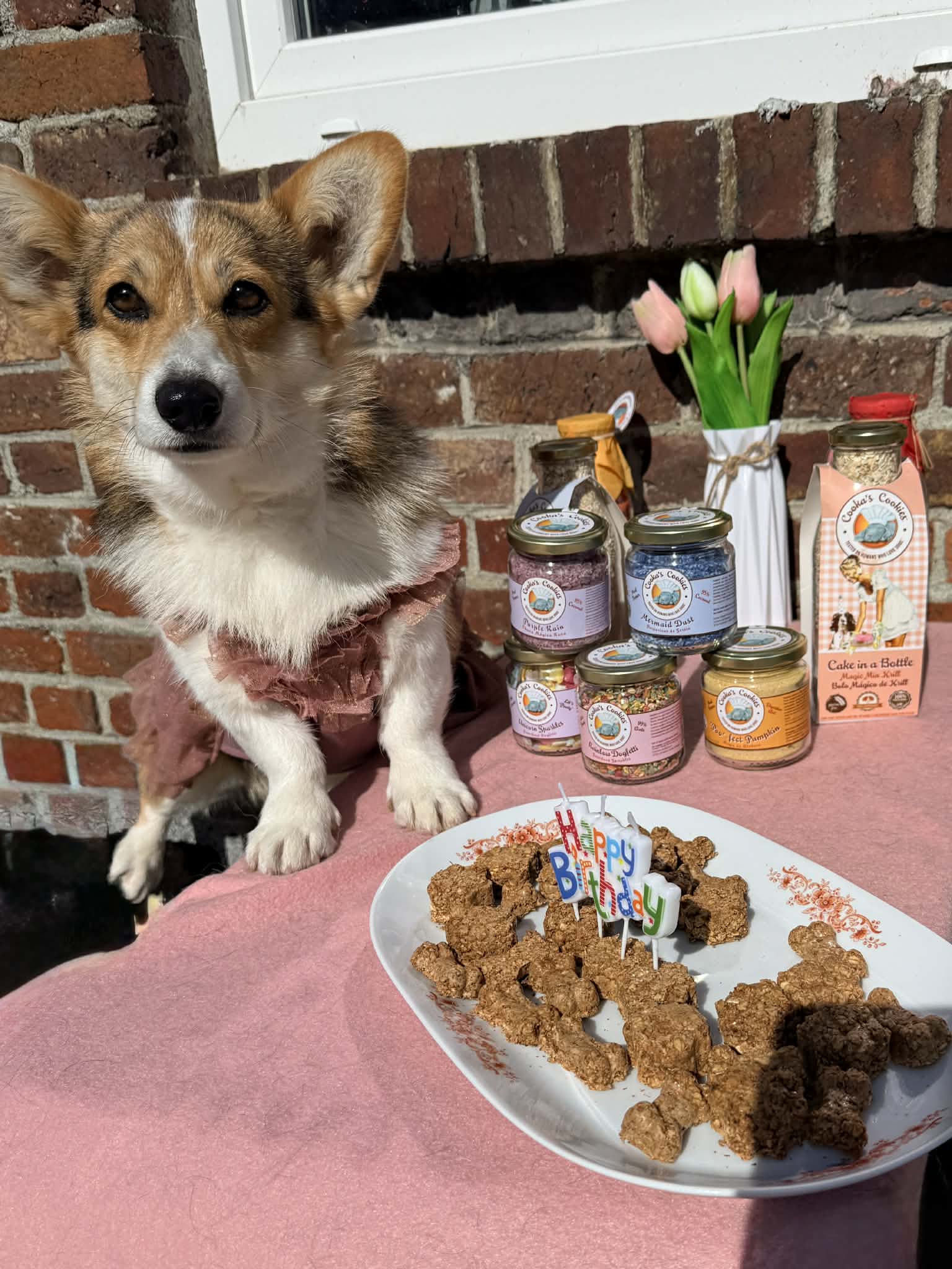 Cooka's Cookie - BOX ANNIVERSAIRE